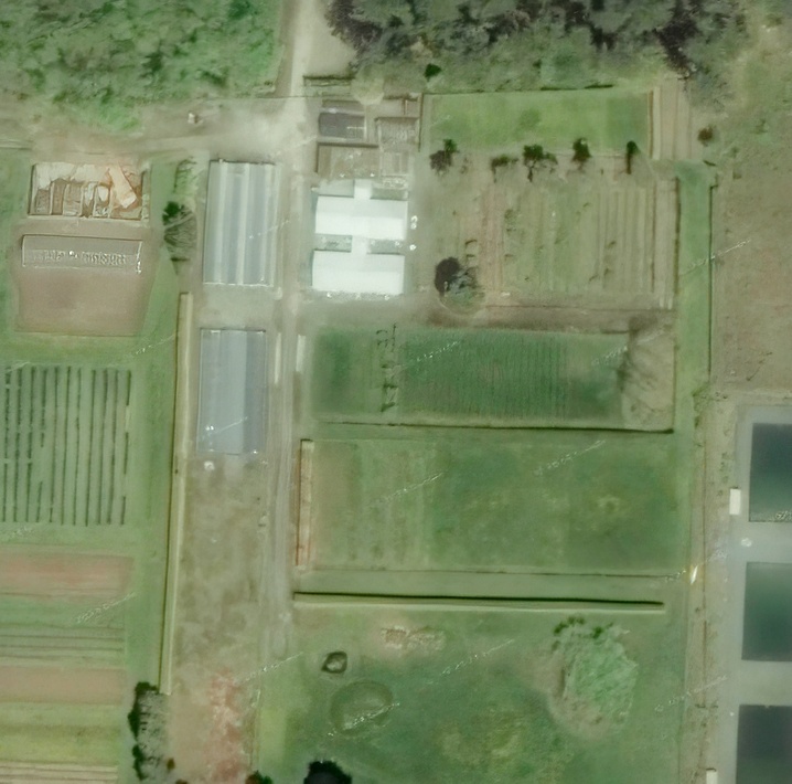 Nursery in 2011