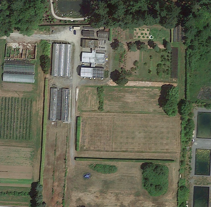 Nursery in 2014