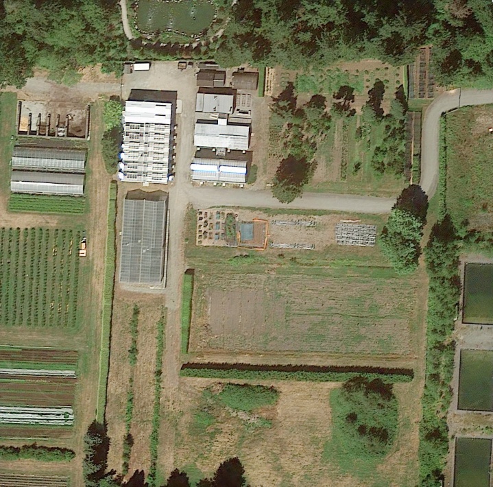 Nursery in 2017