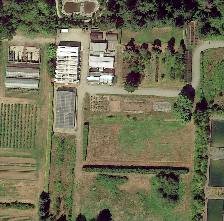 Nursery in 2018