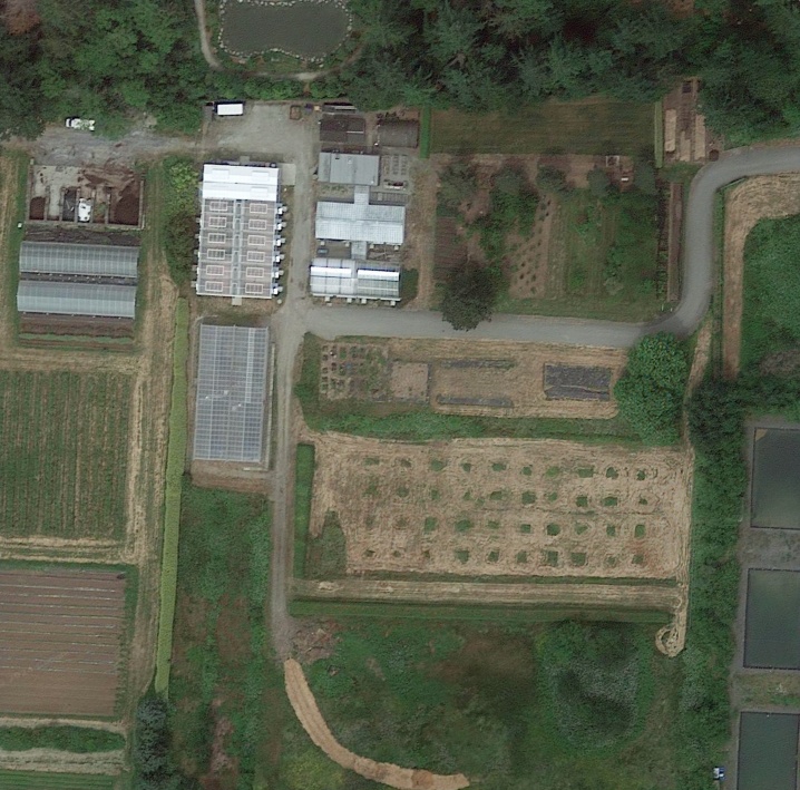 Nursery in 2019